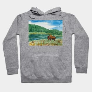 Buffalo at the river in the park Hoodie